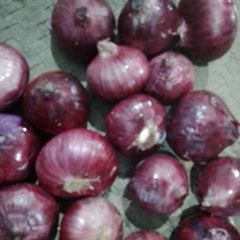 

Bawang Merah India/Bawang Peking 1kg