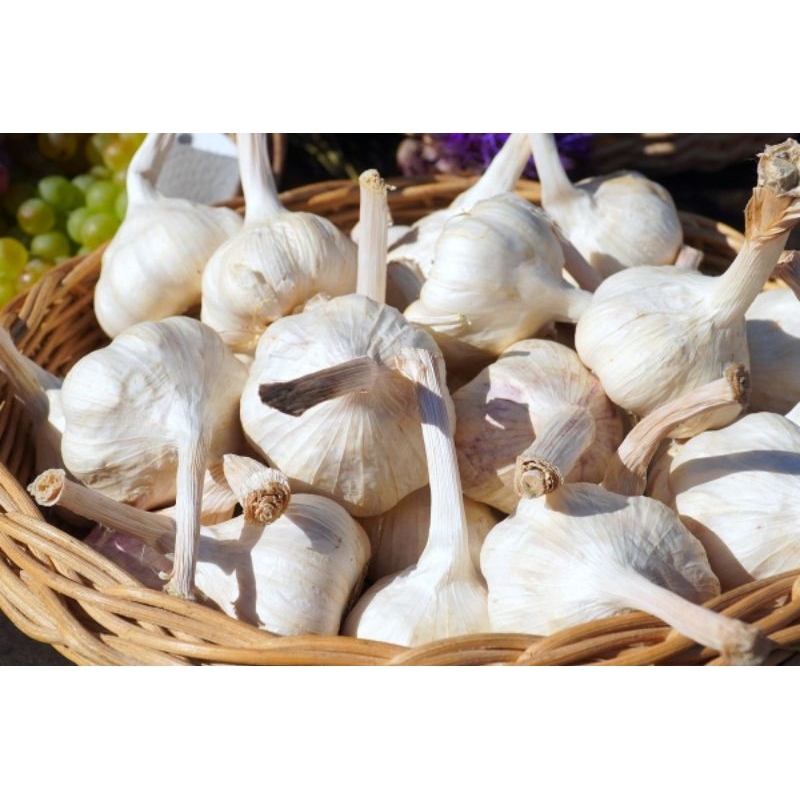 

Bawang Putih 1kg