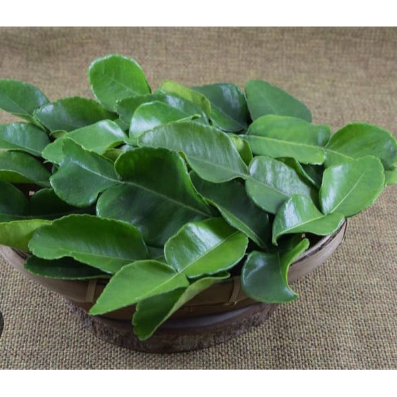 

DAUN JERUK PURUT FRESH 100g