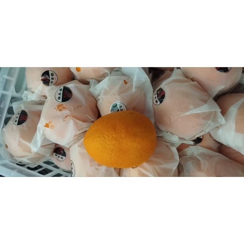 

jeruk sunkist navel 1kg