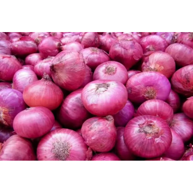 

Bawang Merah Uk Sedang Berat 250gr
