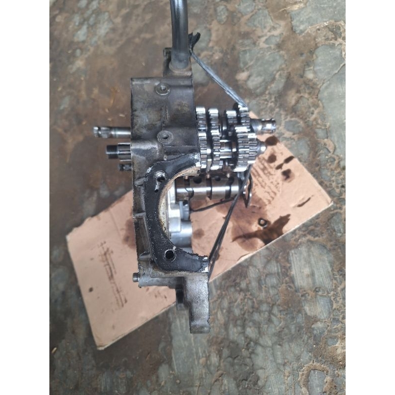 RASIO TIGER ORIGINAL COPOTAN SET KALTER