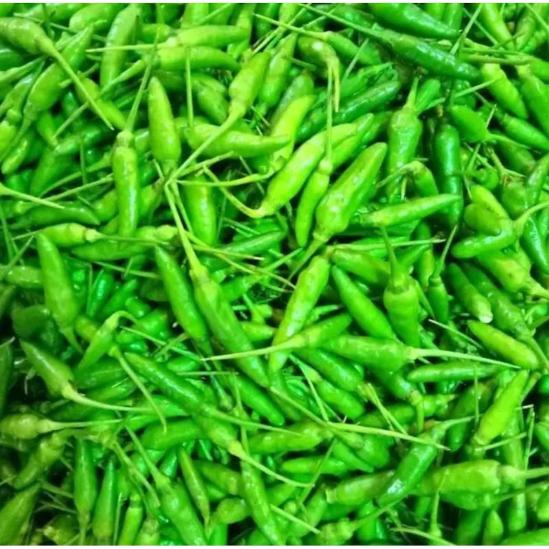 

Sayur Segar Cabe Rawit Super Cabe Murah Cabe 100 gram