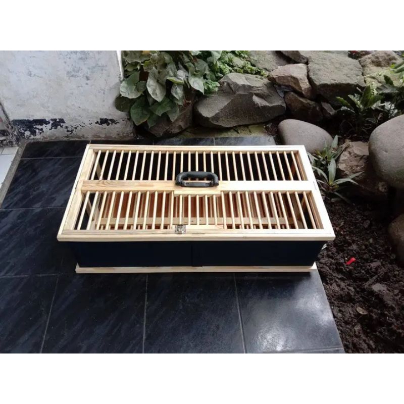 dondang burung lipat