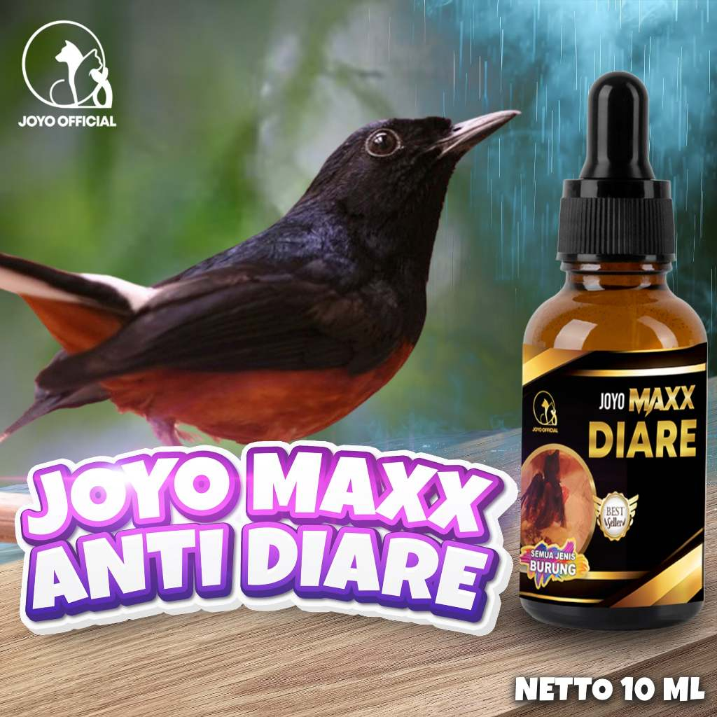 OBAT BURUNG DIARE | VITAMIN BURUNG | OBAT MENCRET | OBAT BERAK CAIR | MAXX ANTI DIARE 10ML