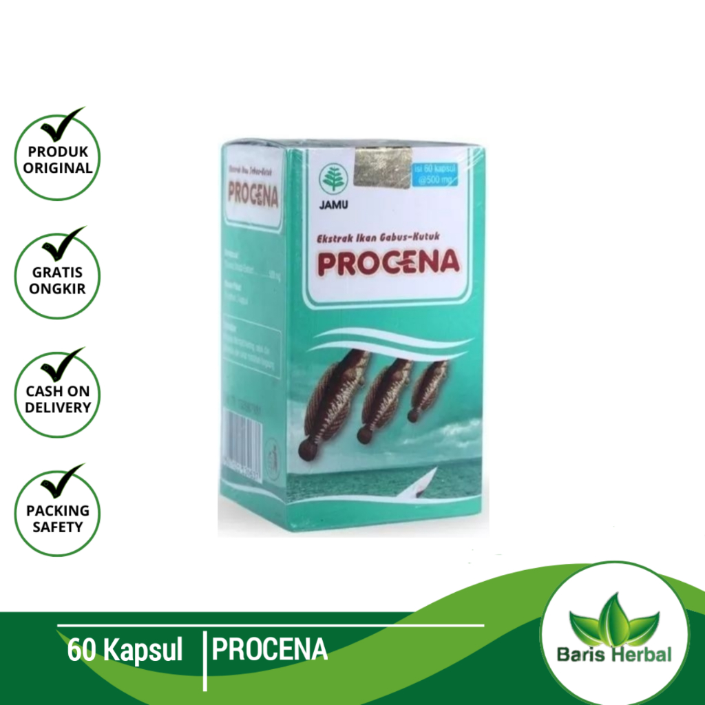 Procena 60 Kapsul | Procena Ekstrak Ikan Gabus | Albumin Ikan Kutuk Procena Original