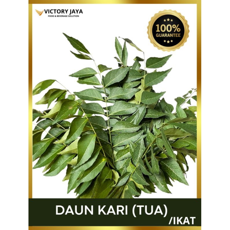 

DAUN KARI / SALAM KOJA SEGAR 50gr DIPETIK KETIKA MAU DI KIRIM