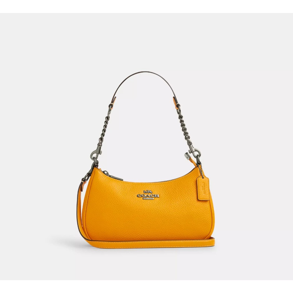 COACH  Teri Hobo Bag