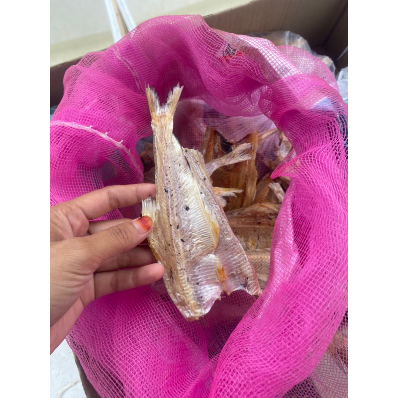 

Biang Belah Kering Per 100g