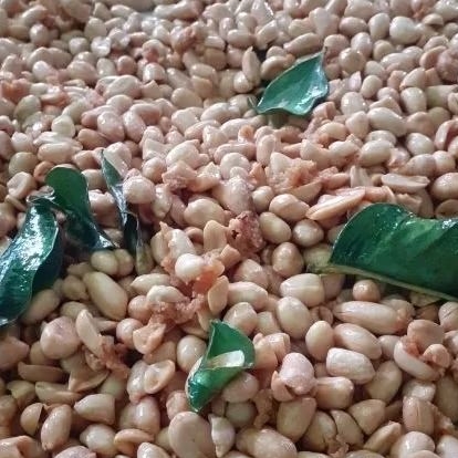 

Kacang Bawang