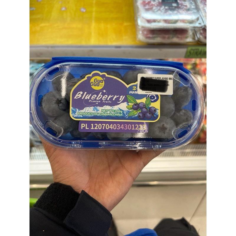 

Blueberry premium fruit jumbo 200gram