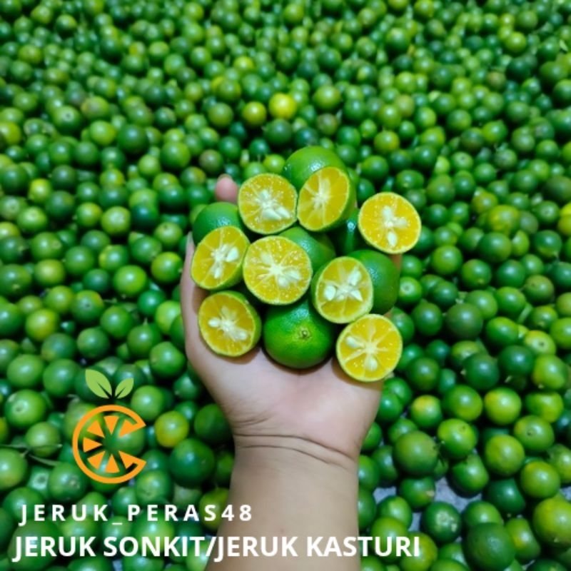 

1KG Jeruk Kasturi/jeruk Sonkit/jeruk lemon cina