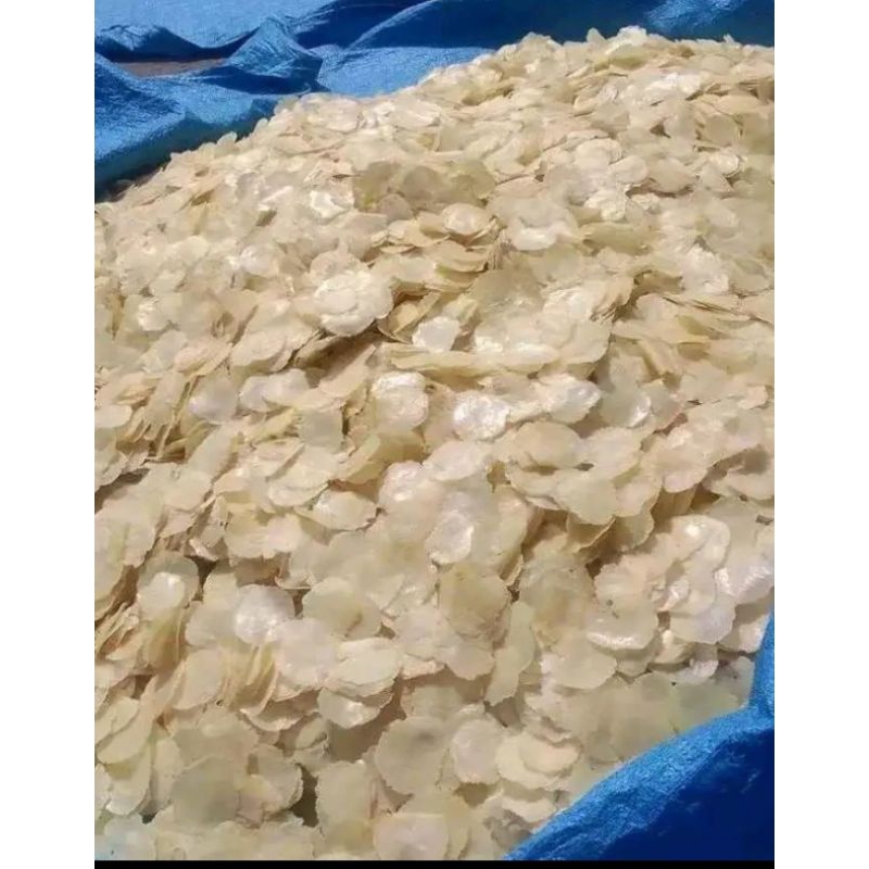 

emping melinjo mentah 1kg