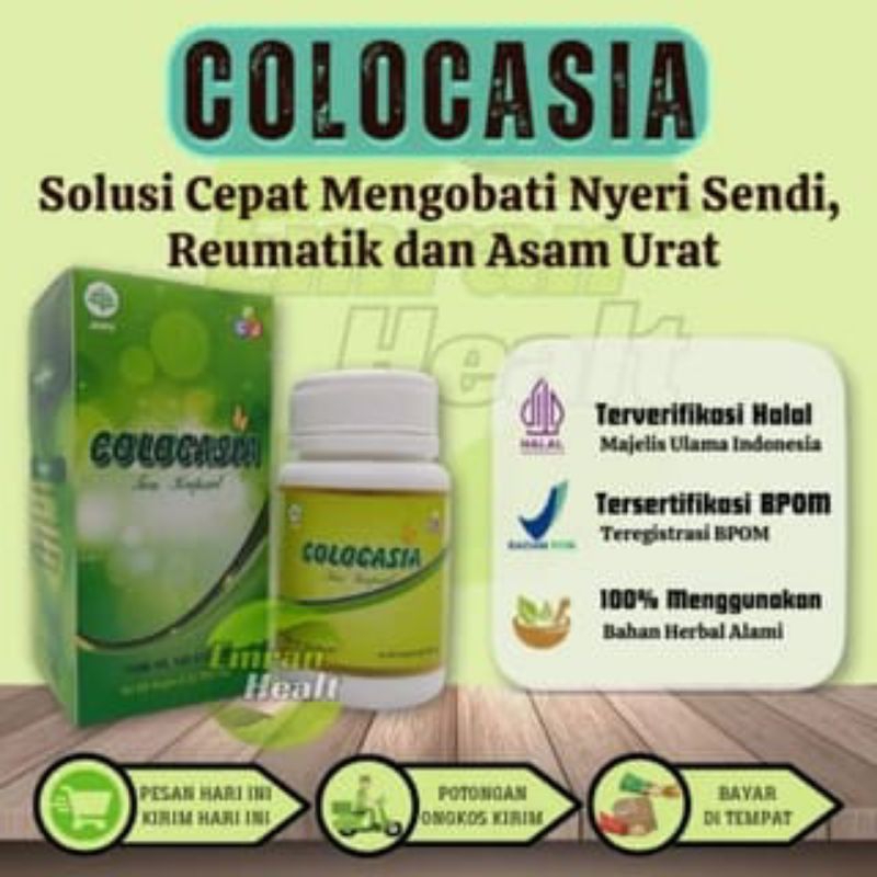 Colocasia Obat Herbal Nyeri Sendi Dan Tulang COLOCASIA 100% Original