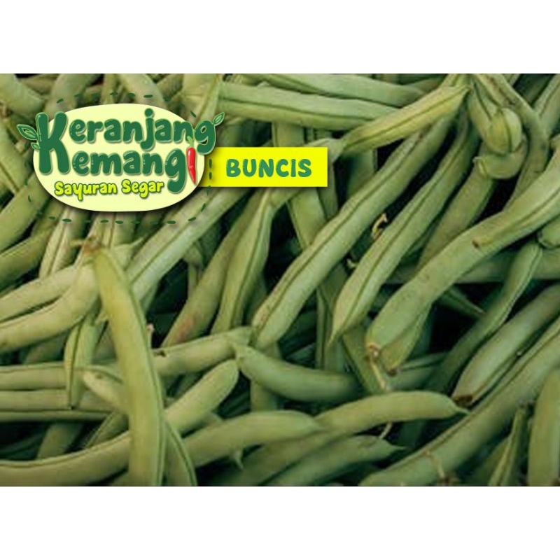 

Buncis Segar