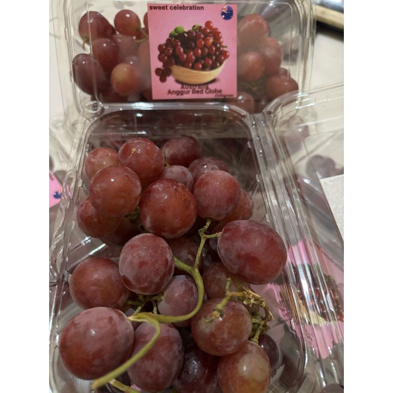 

Anggur Red Ausie Pack (kurleb 500gr)