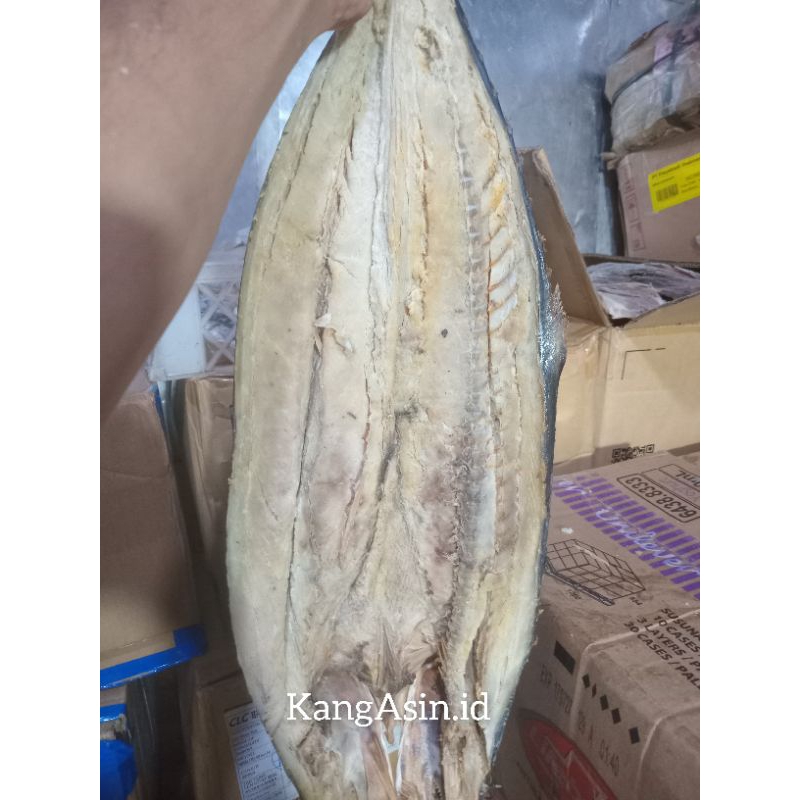 

ASIN TENGGIRI/ ikan asin tenggiri 250gr