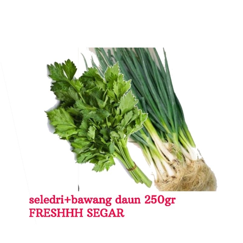 

sayuran seledri+daun bawang 250gr freshh