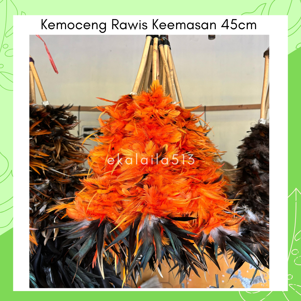 KEMOCENG PEMBERSIH DEBU DARI BULU AYAM JAGO PEJANTAN JAWA RAWIS WARNA PANJANG 45 CM
