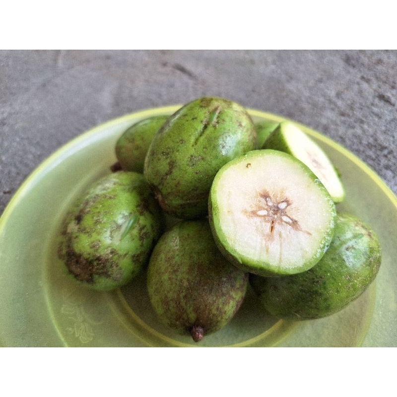

Buah kedondong segar baru petik dari pohon/1kg