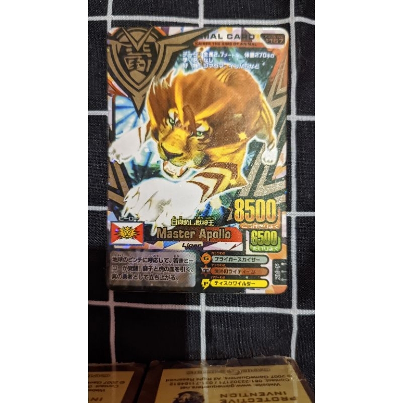 ANIMAL KAISER MASTER APOLLO