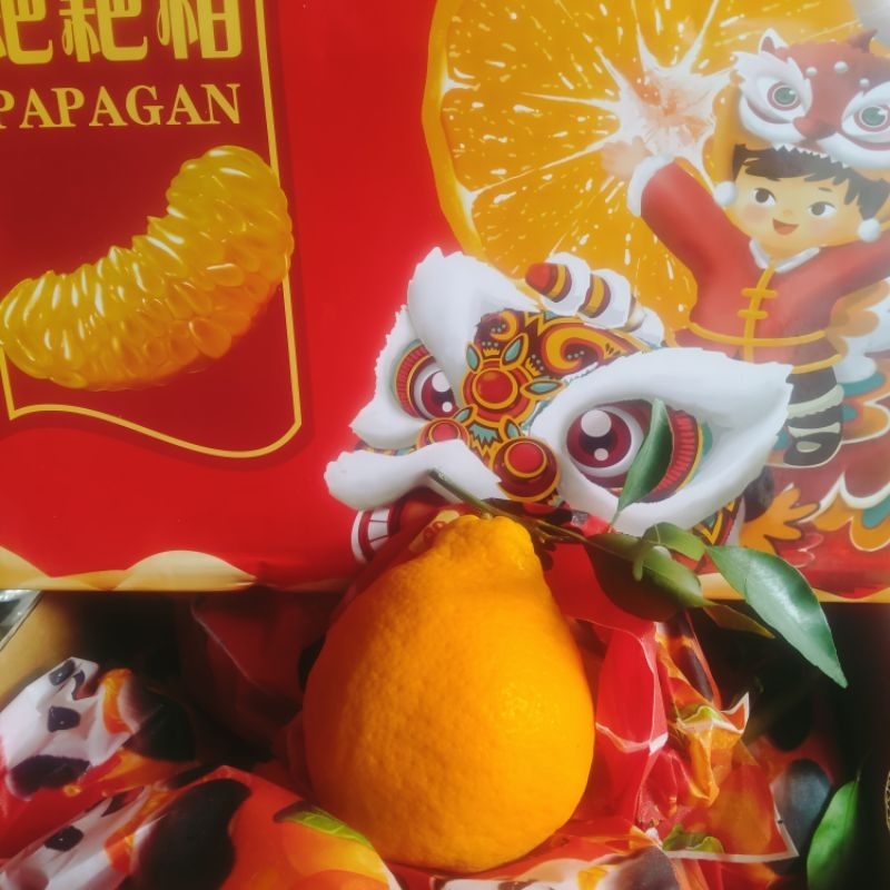 

JERUK DEKOPON/JERUK JEPANG/JERUK PAPAGAN MANIS TANPA BIJI