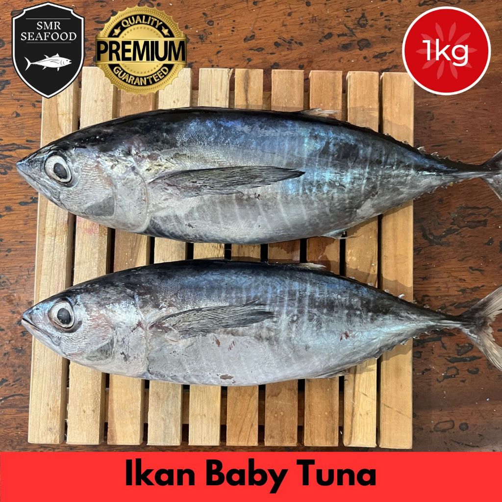 

Ikan Baby Tuna / Tuna Kecil | Frozen Beku Utuh 1KG