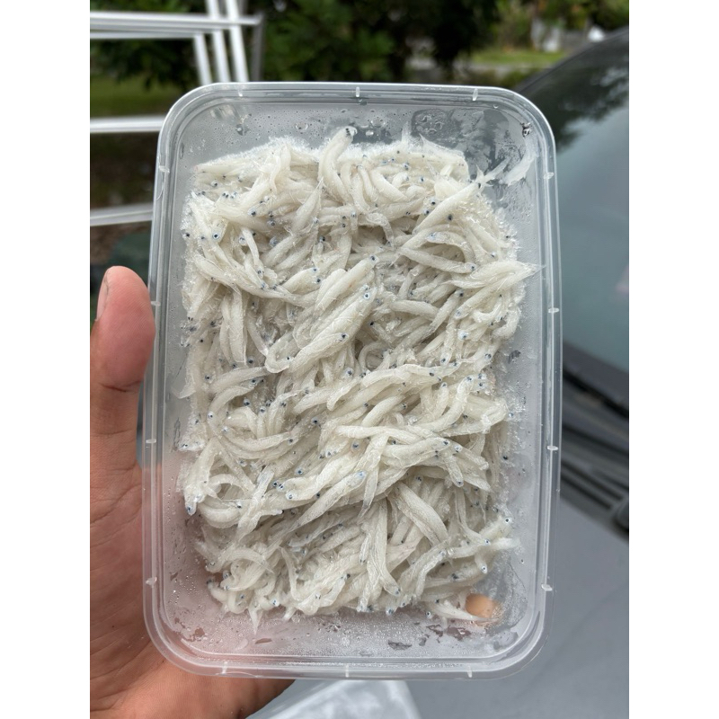 

READY STOCK TERI BASAH 250gr HARTA KARUN MPASI