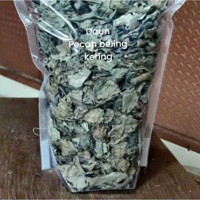 

Daun Keji Beling Kering 100gr Daun Pecah Beling