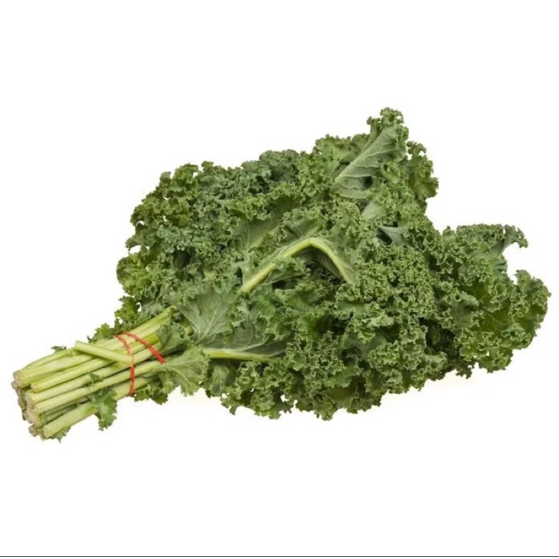 

Daun kale organik / daun kale fresh