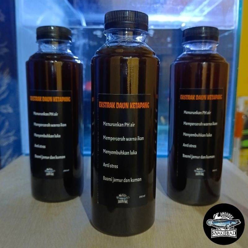 Ekstrak Daun Ketapang Pekat Mutasi Warna Ikan
