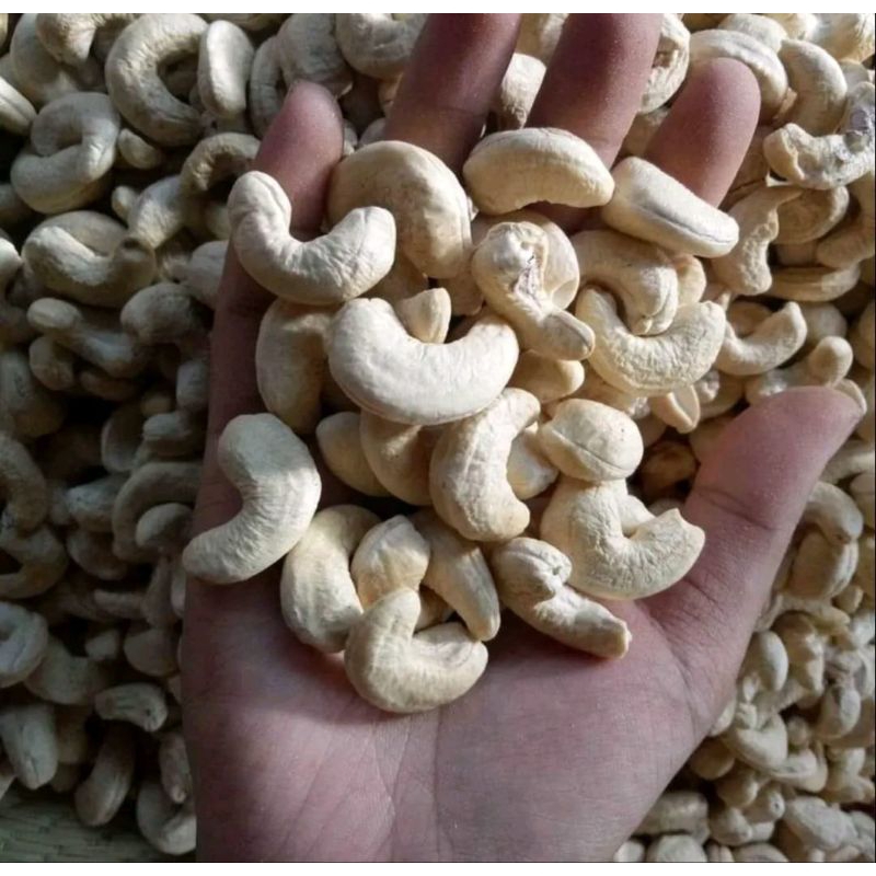 

kacang mente sk 1 utuh 95% putih kmsan 1kg...