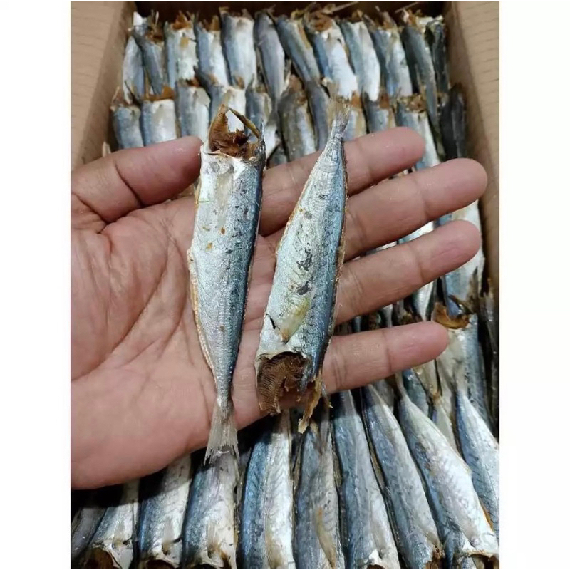 

ikan asin REBUS layang PK 500gr
