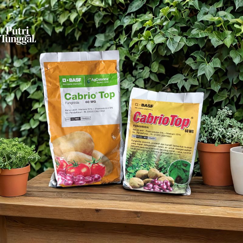 Cabrio top fungisida sistemik pengendali penyakit pada tanaman