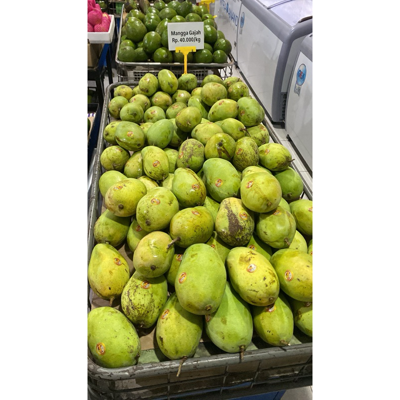 

Mangga Gajah