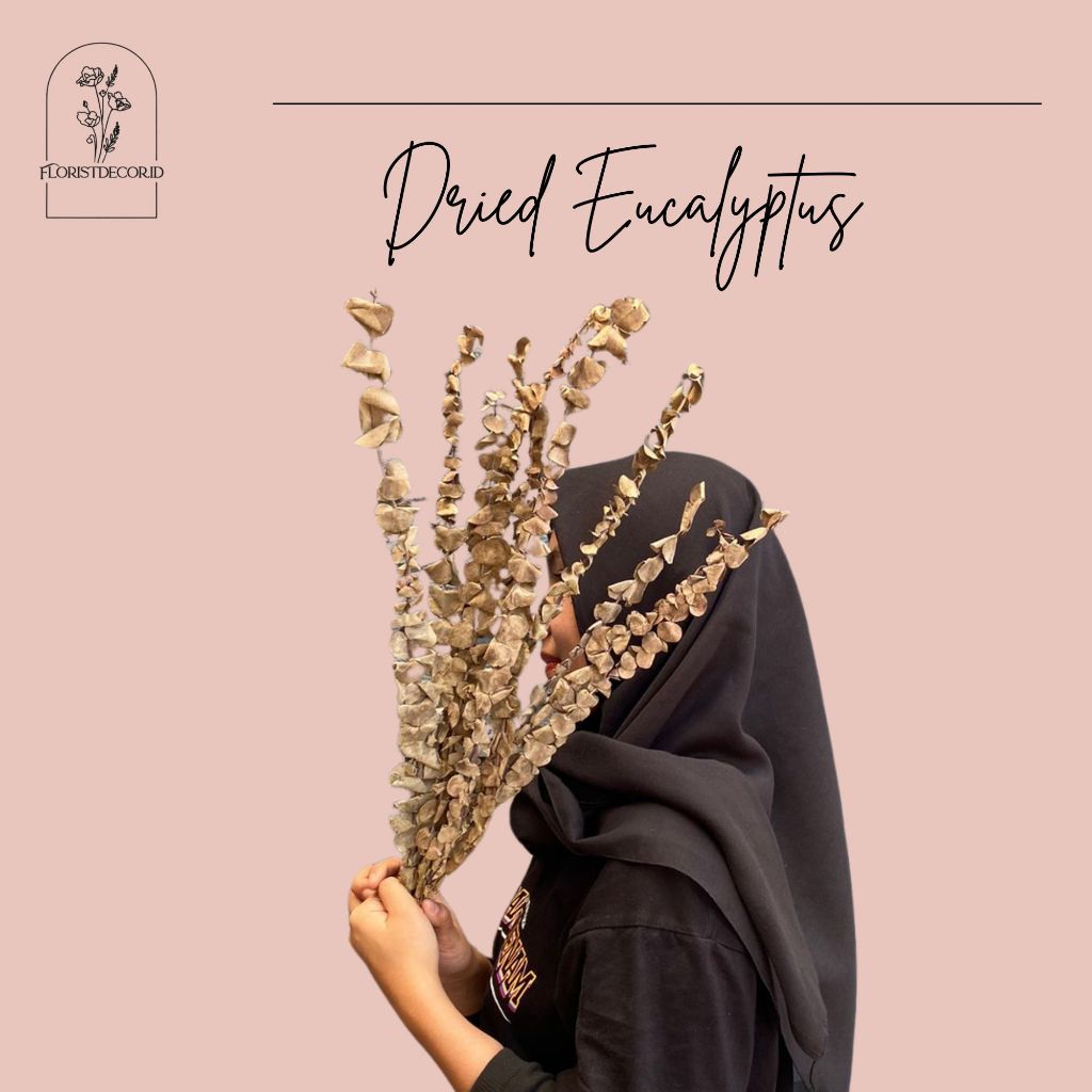 DAUN KERING EUCALYPTUS PRSERVED EUCALYPTUS Dried Flower Eucalyptus /Preserved Eucalyptus