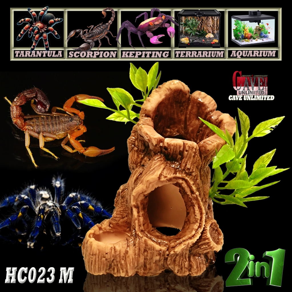HC023 HIDING CAVE 2IN1 POHON KAYU MINI RUMAH TEMPAT SEMBUNYI TARANTULA P METALLICA PULCHRIPES PORTER