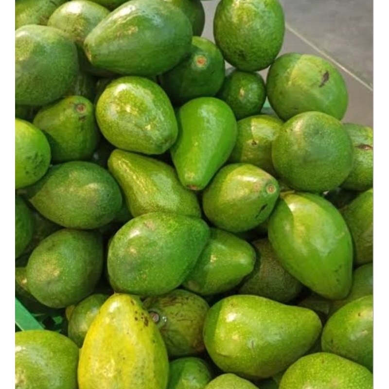 

Alpukat Mentega Super 1kg isi 5