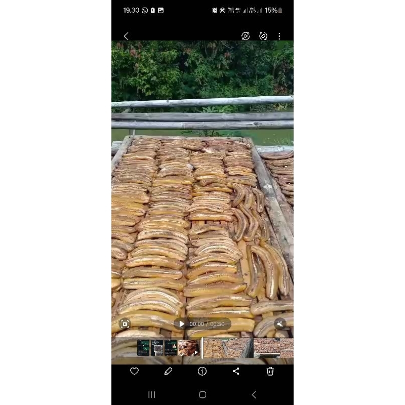 

Sale kering pisang ambon khas lampung