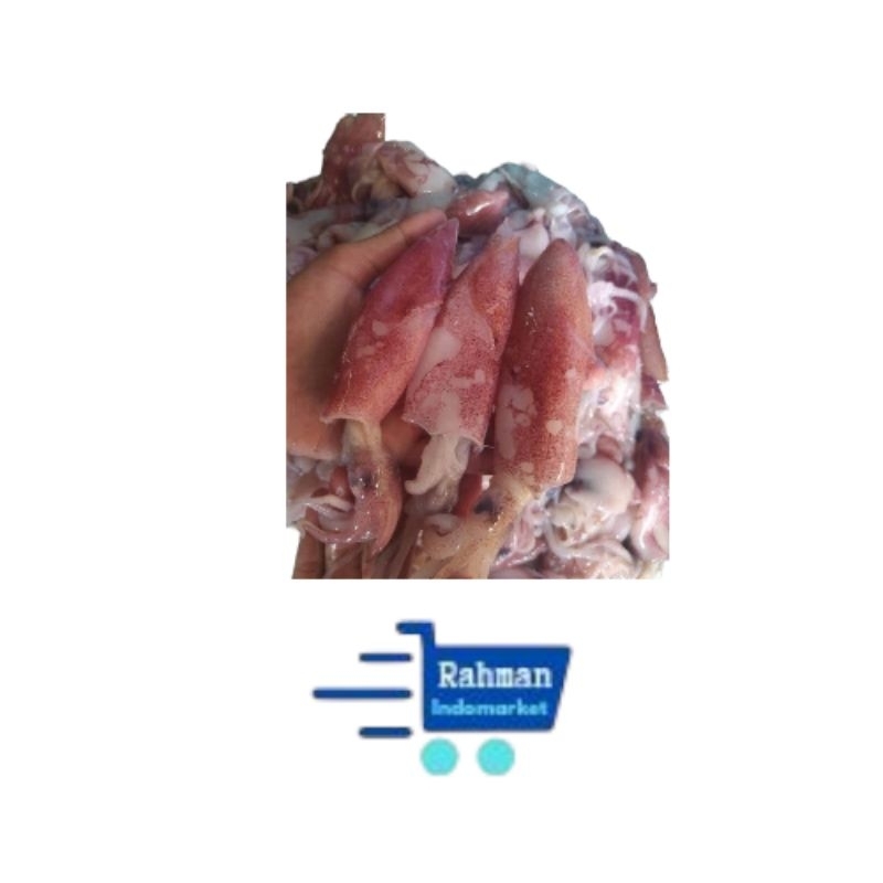

CUMI SEGAR UKURAN SEDANG 500GR