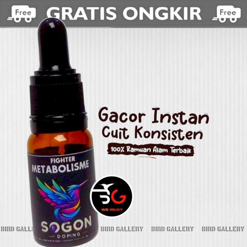 METABOLISME FIGHTER METABOLISME SOGON PLECI