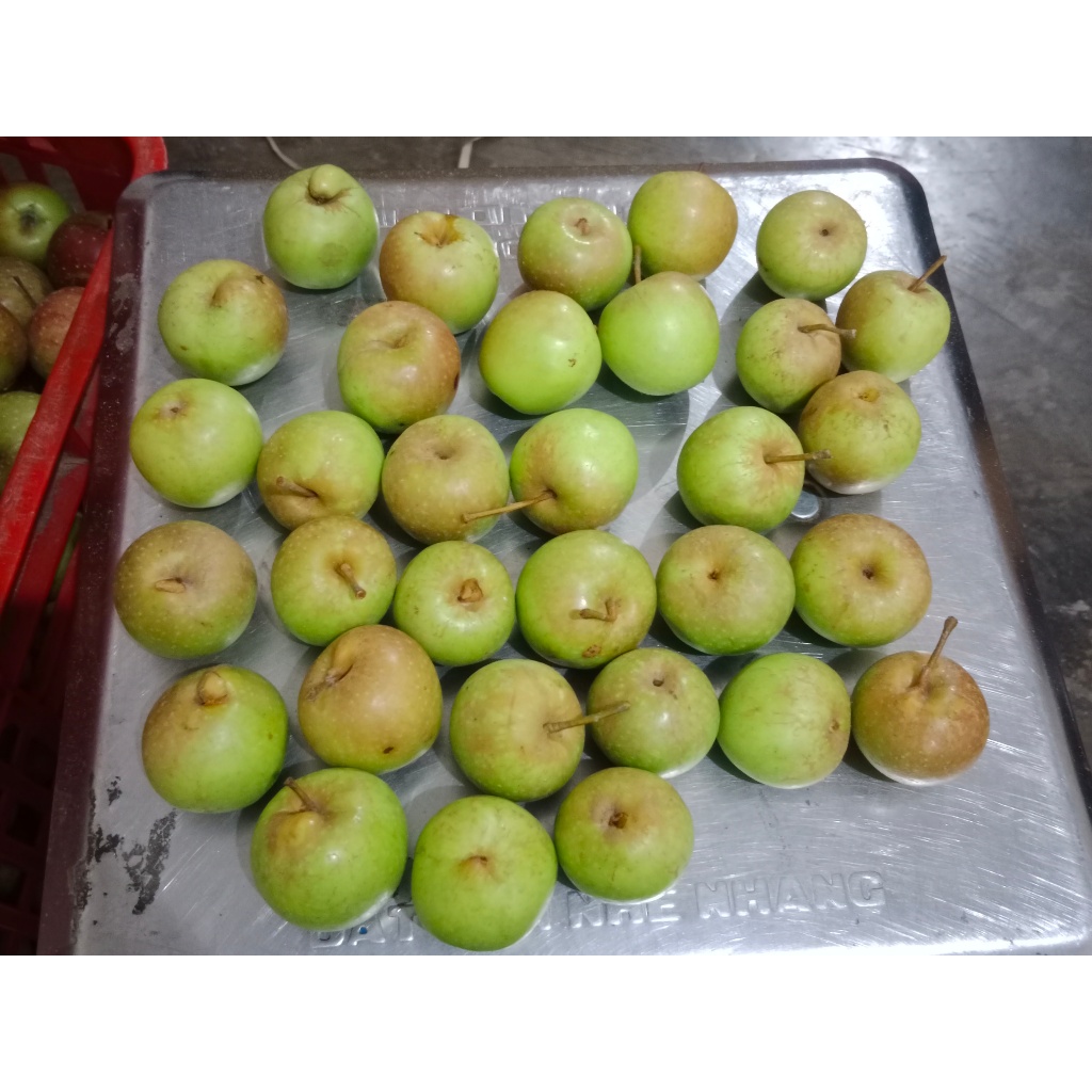 apel manalagi cerry (1kg)/isi 25-35 buah/Apel Malang Fresh