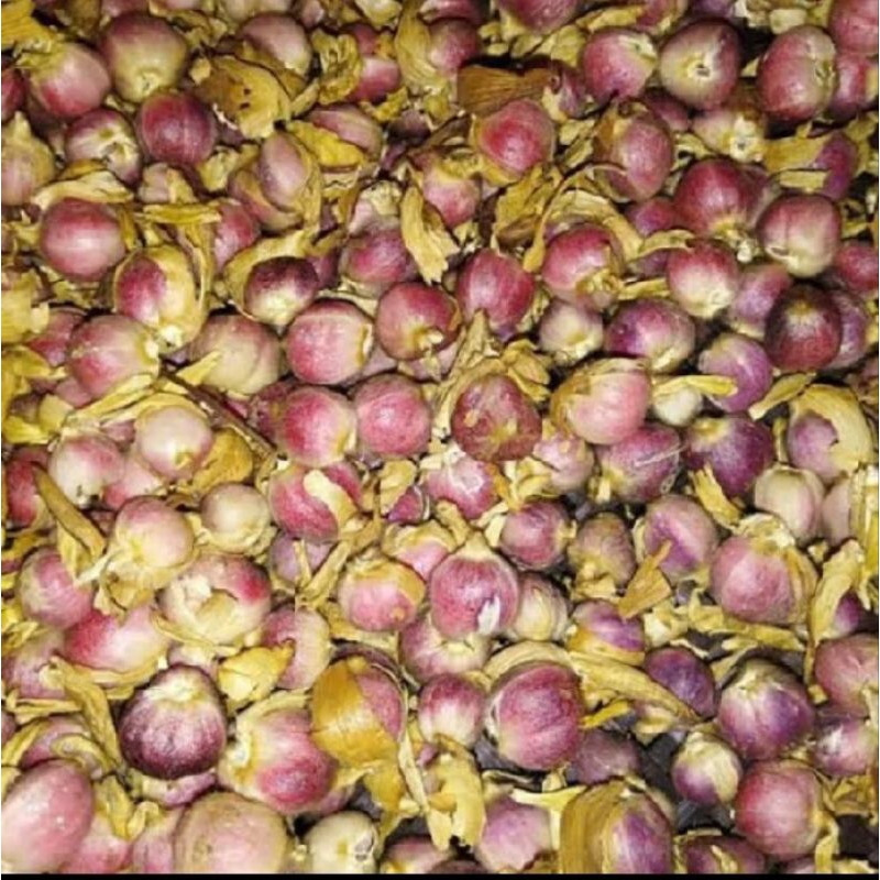 

kapulaga lokal fresh 1kg/kapulaga kering 500gr/kapulaga bubuk murni 500gr