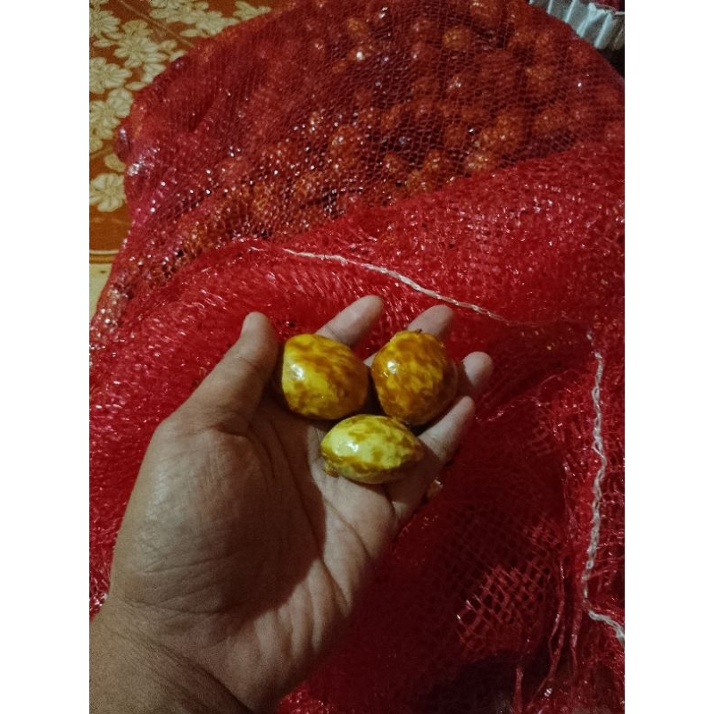 

jereng / jengkol tua pulen daging kenyal asli Pati