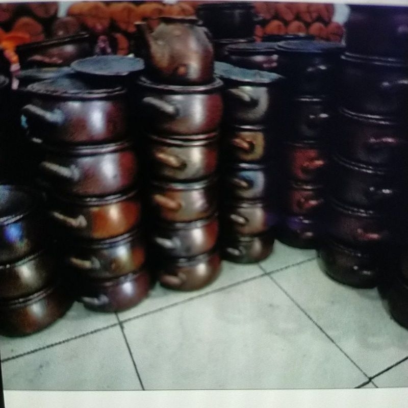 PANCI REBUS JAMU 18 CM PANCI NATURAL TANAH LIAT