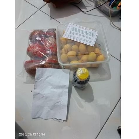 

paket kurma zuriat