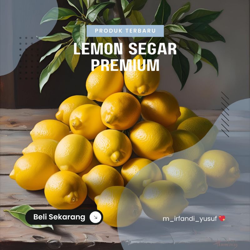 

Lemon California Segar Premium Fresh Petik Kebun