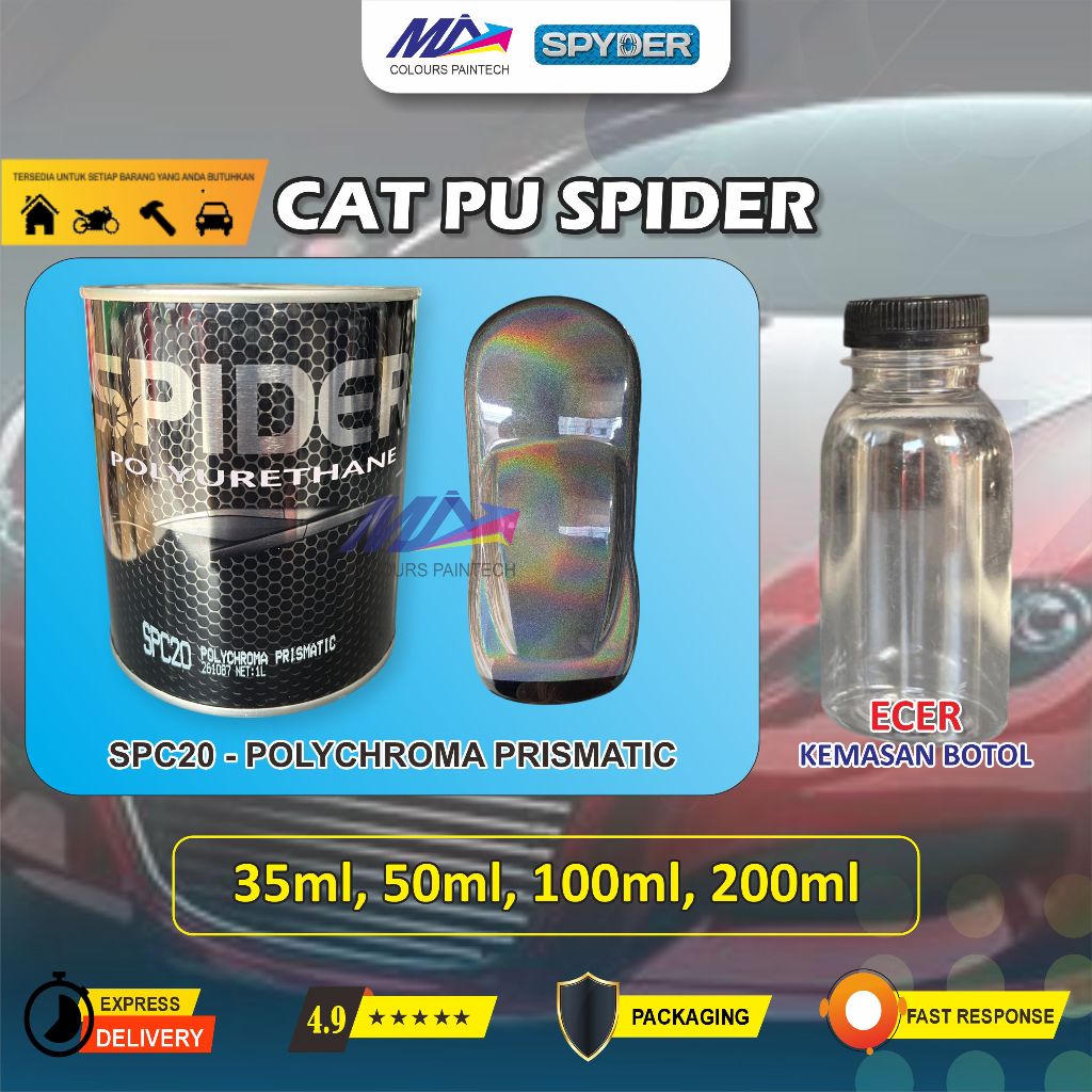 CAT HOLOGRAM SPIDER PU POLYCHROMA PRISMATIC SPC20 ECER