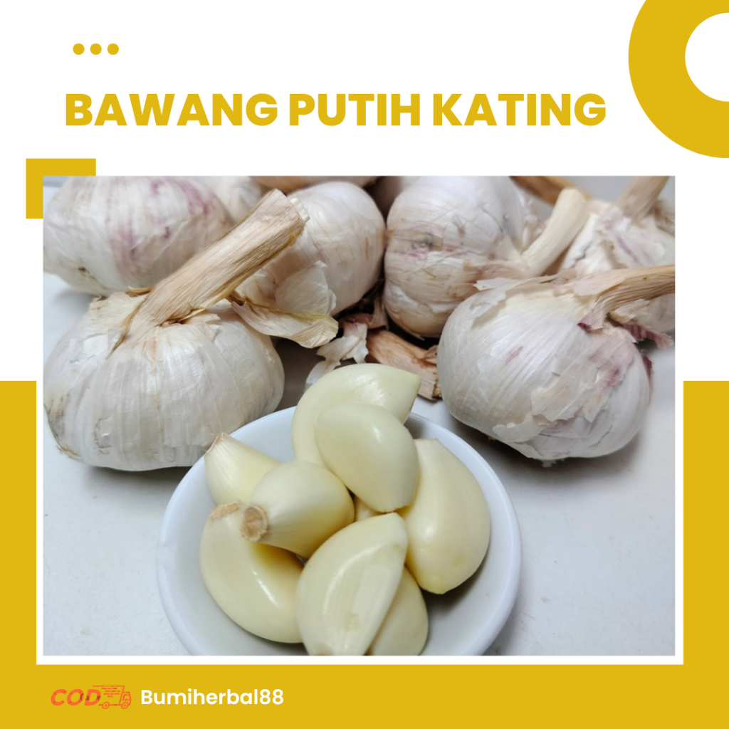 

Bawang Putih Kating Kualitas Super 500 gram | 1kg