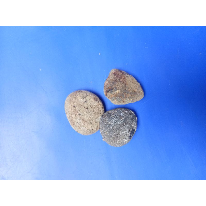 3 Batu Penunda boker